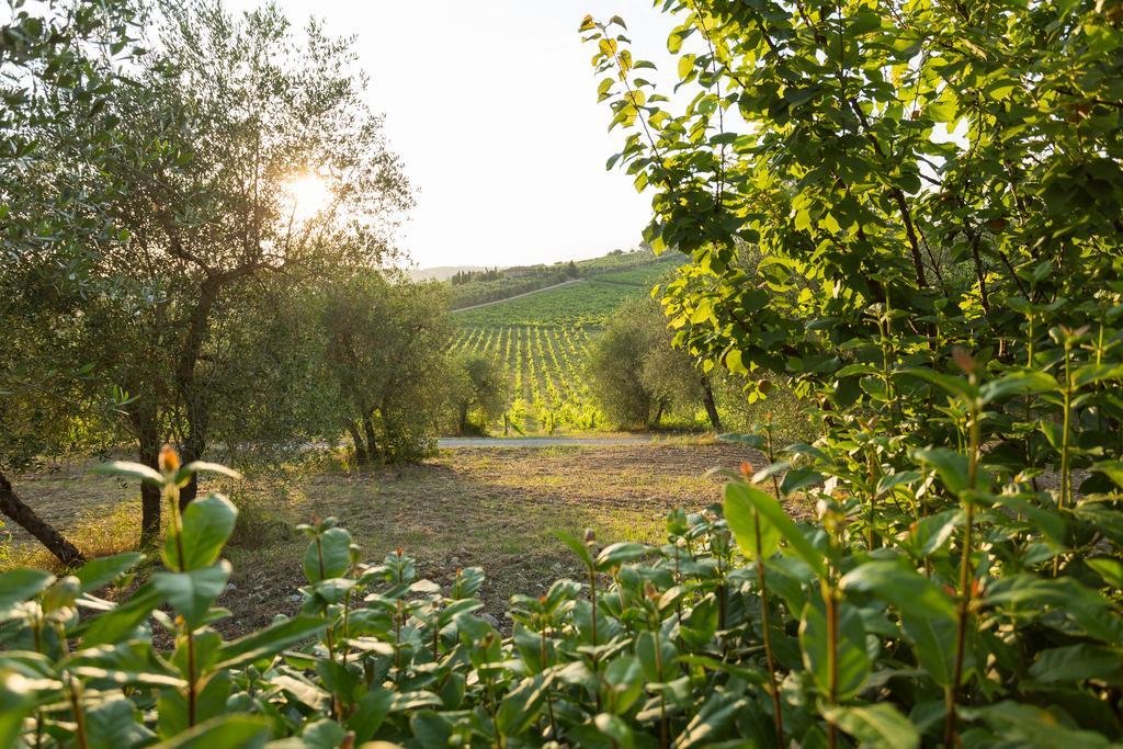 Tenuta Di Monaciano Ponte A Bozzone Екстер'єр фото
