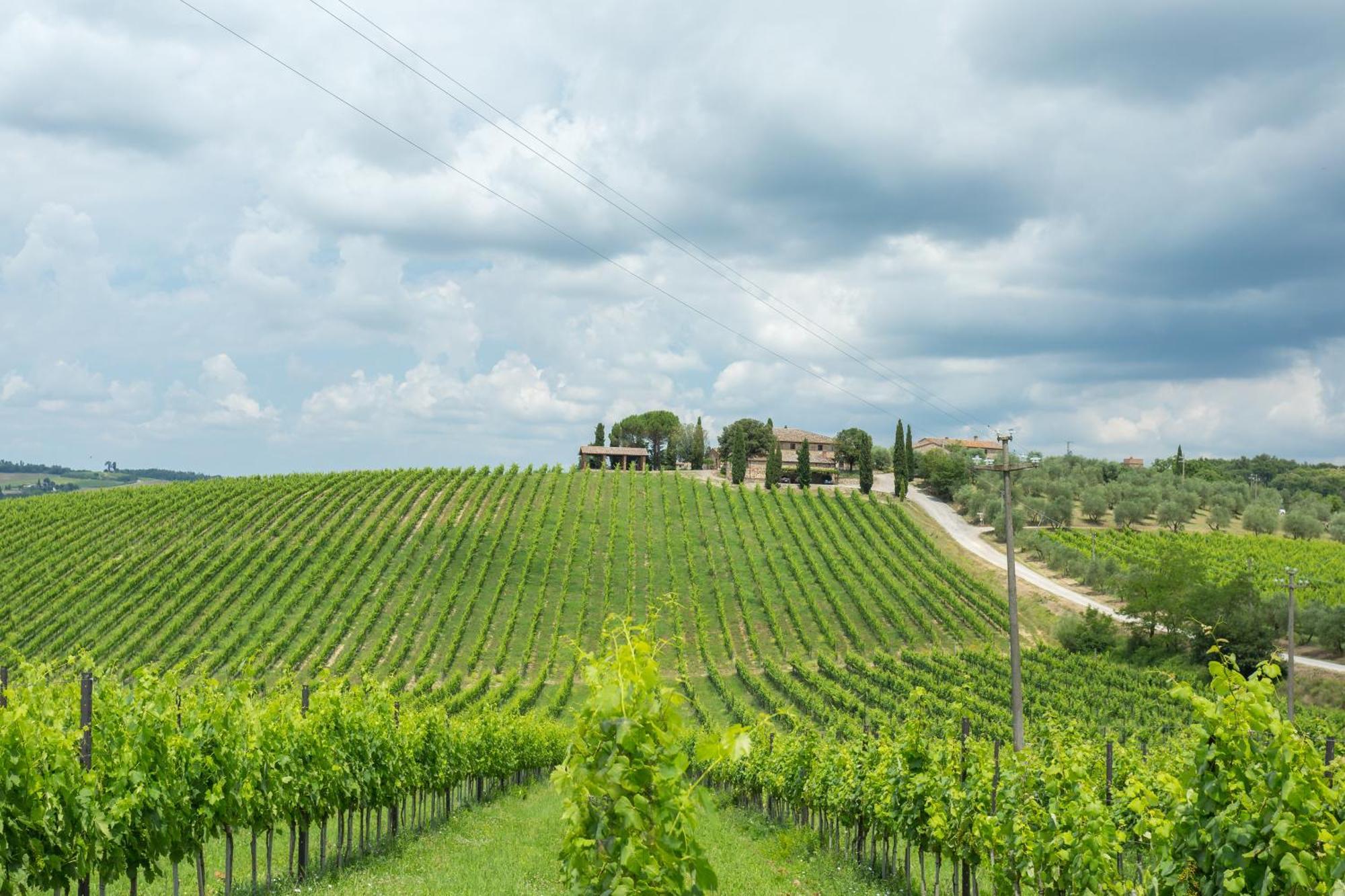 Tenuta Di Monaciano Ponte A Bozzone Номер фото