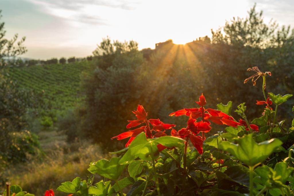 Tenuta Di Monaciano Ponte A Bozzone Екстер'єр фото