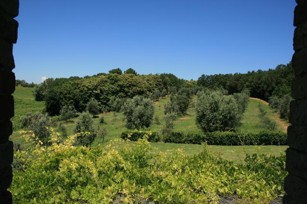 Tenuta Di Monaciano Ponte A Bozzone Номер фото